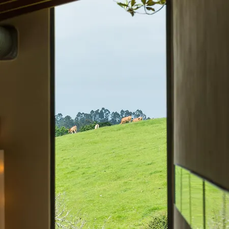 艾尔巴布酒店 卡拉维亚