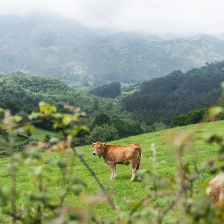 艾尔巴布酒店 2* 卡拉维亚