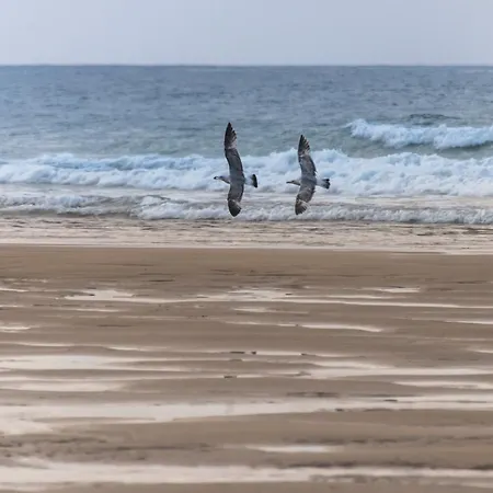 艾尔巴布酒店 酒店