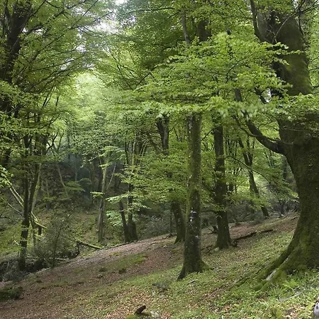 艾尔巴布酒店 酒店