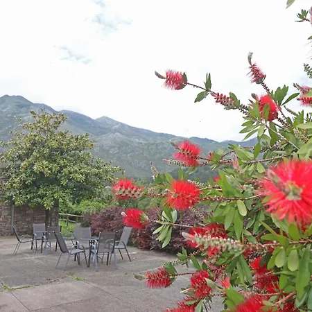 Hotel El Babu 2*